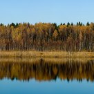 Autumn mirror (panorama)